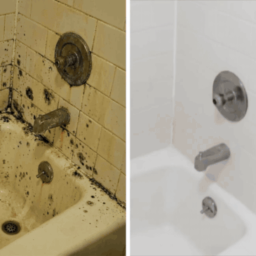 mould remover gel all surfaces