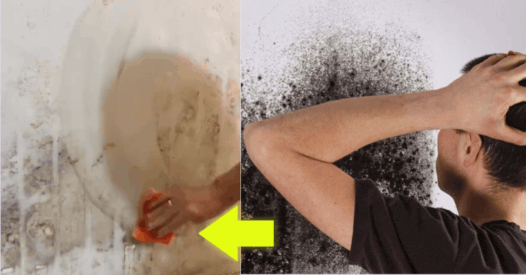NuroClean mould remover gel in action